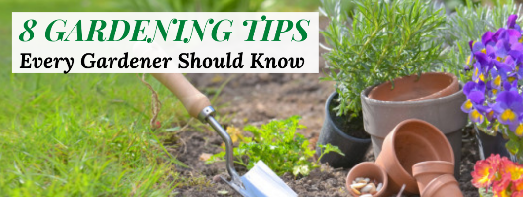 Tips every gardener should know