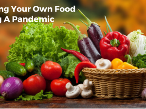 Growing Your Own Food During A Pandemic
