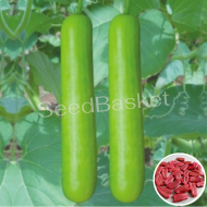 Bottle Gourd Hybrid