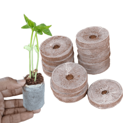 Coco Coins/Pellets 42 mm Dia. (Pack of 10)