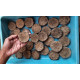Homemade Desi Cow Dung Cake(15 Pack-Free Delivery)