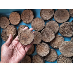 Homemade Desi Cow Dung Cake(15 Pack-Free Delivery)