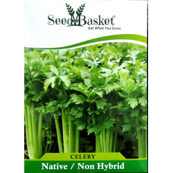 Celery (600 Seeds)