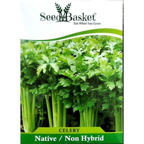 Celery (600 Seeds)