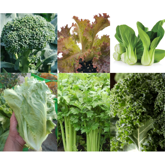 Exotic vegetable seeds - pack of 6