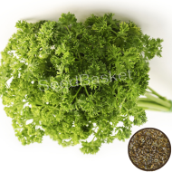 Herb Parsley (200 Seeds)