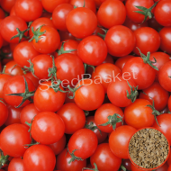 Cherry Tomato Red F1 Hybrid