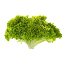 Lettuce Batavia (400Seeds)
