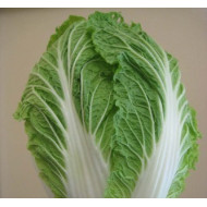 Chinese Cabbage (50 Seeds)