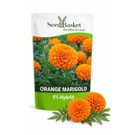 Hybrid Marigold Orange African (20 Seeds)