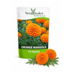 Hybrid Marigold Orange African (20 Seeds)