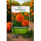 Hybrid Yellow & Orange Marigold Seeds Combo Pack (40 Seeds)