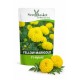Hybrid Marigold Yellow African (20 Seeds)