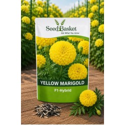 Hybrid Marigold Yellow African (20 Seeds)