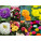 All Seasonal Flower Seeds