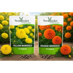 Hybrid Yellow & Orange Marigold Seeds Combo Pack (40 Seeds)