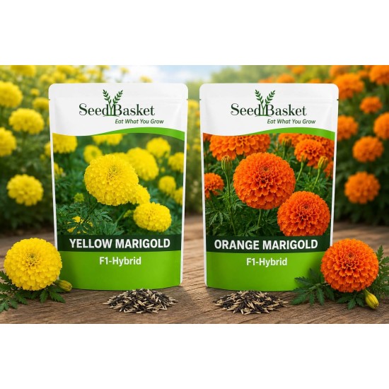 Hybrid Yellow & Orange Marigold Seeds Combo Pack (40 Seeds)