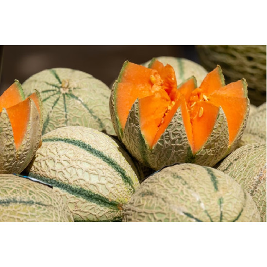 Muskmelon F1 Hybrid  (15 Seeds)