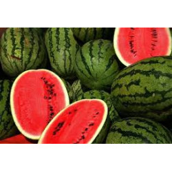 Water Melon Green F1 Hybrid (25 Seeds)