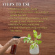  Neem Drop - For Plant Insect and Diseases (100 ml)