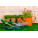 Gardening Products