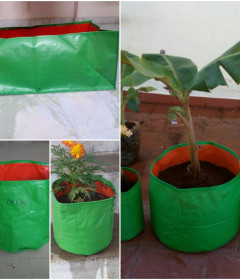 Grow Bags