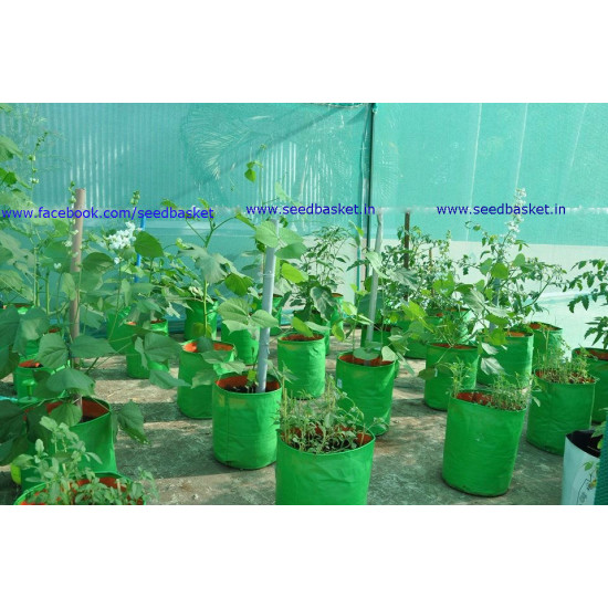 HDPE Grow Bag 9X9  inch
