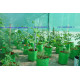 HDPE Grow Bag 9X9  inch