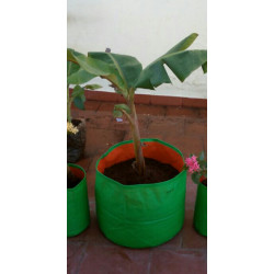 HDPE Grow Bag 18X18  inch