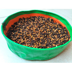 HDPE Growbags 9X2 inch for Microgreens