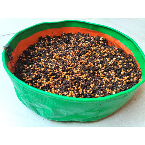 HDPE Growbags 9X2 inch for Microgreens