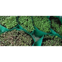 HDPE Grow Bag 12X6  inch