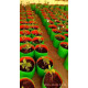 HDPE Grow Bag 12X12 inch