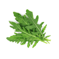Herb Rocket Arugula (300 Seeds)