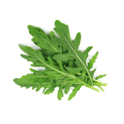 Herb Rocket Arugula (300 Seeds)