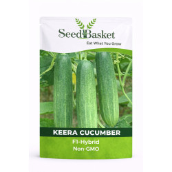 Hybrid Keera Cucumber (50 Seeds)