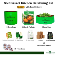 Seedbasket Home Gardening Kit 