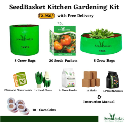 Seedbasket Home Gardening Kit 