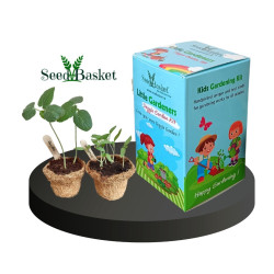 Kids Gardeners Kit (Twin Planter) for Kids