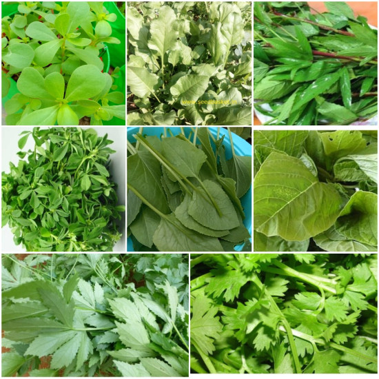 Leafy vegetable seeds - pack of 8