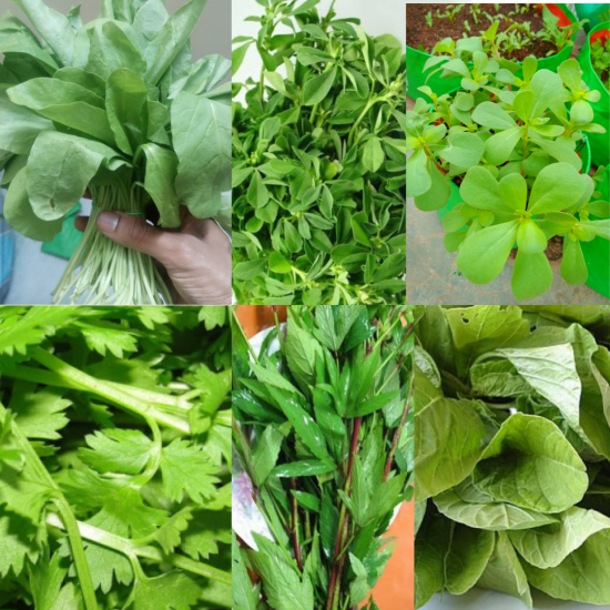 Leafy vegetable seeds - pack of 6