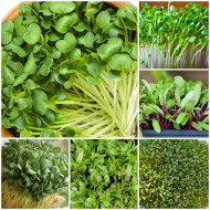 Microgreen Seeds Pack of 5 