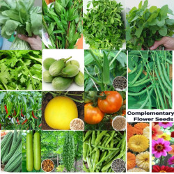 Rainy Season Vegetables Seeds Kit Pack of 14