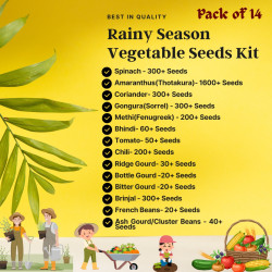 Rainy Season Vegetables Seeds Kit Pack of 14