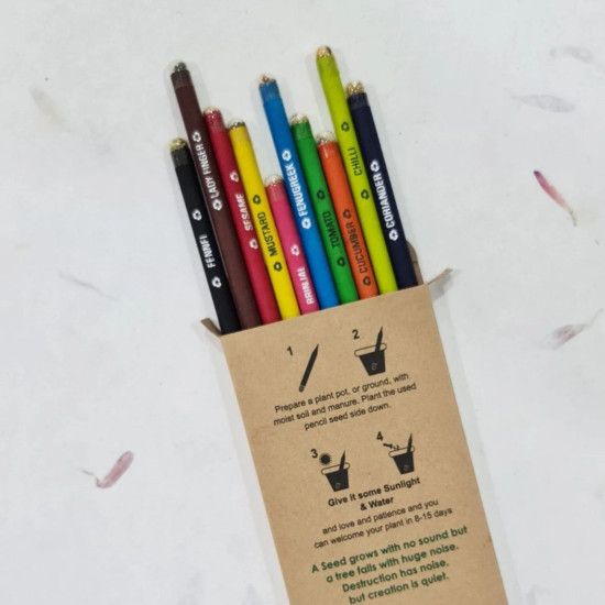 Plantable Color Seed Pencils - Pack of 10