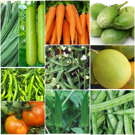 Vegetable seeds kit pack of 12