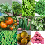 Winter Vegetables Seeds Kit Pack of 10