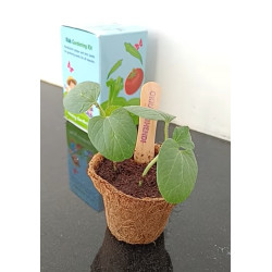 Kids Garden Kit (Solo Planter) - Pack of 8
