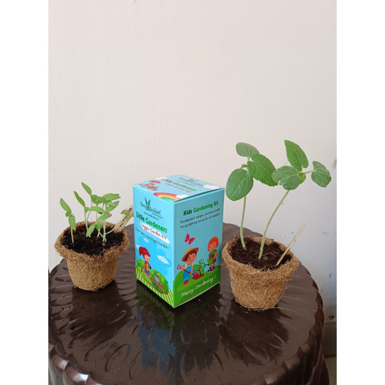 Kids Gardeners Kit (Twin Planter) for Kids
