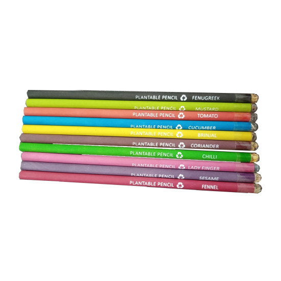 Plantable Color Seed Pencils - Pack of 10